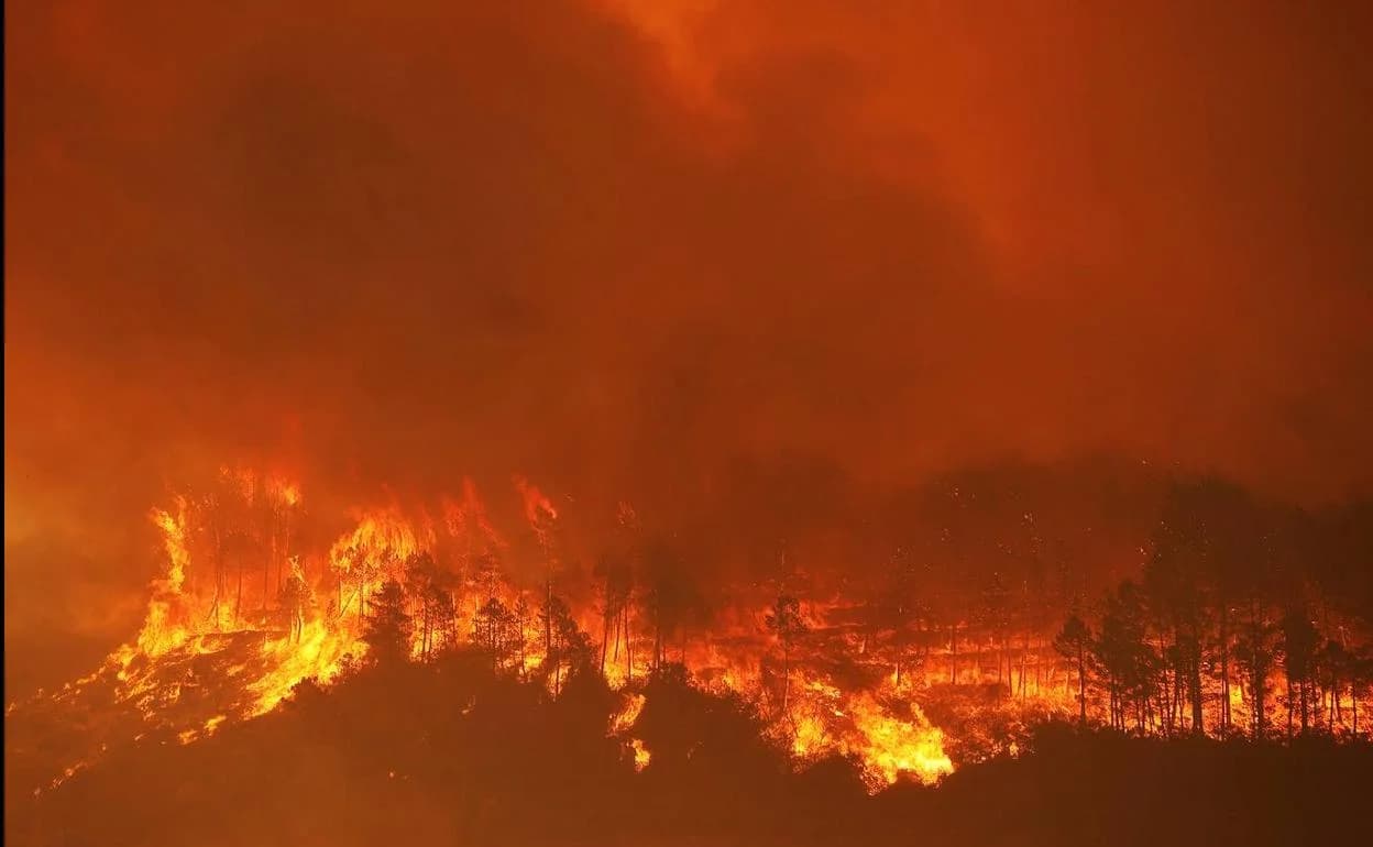 Ladera de monte ardiendo por completo durante un incendio forestal nocturno.