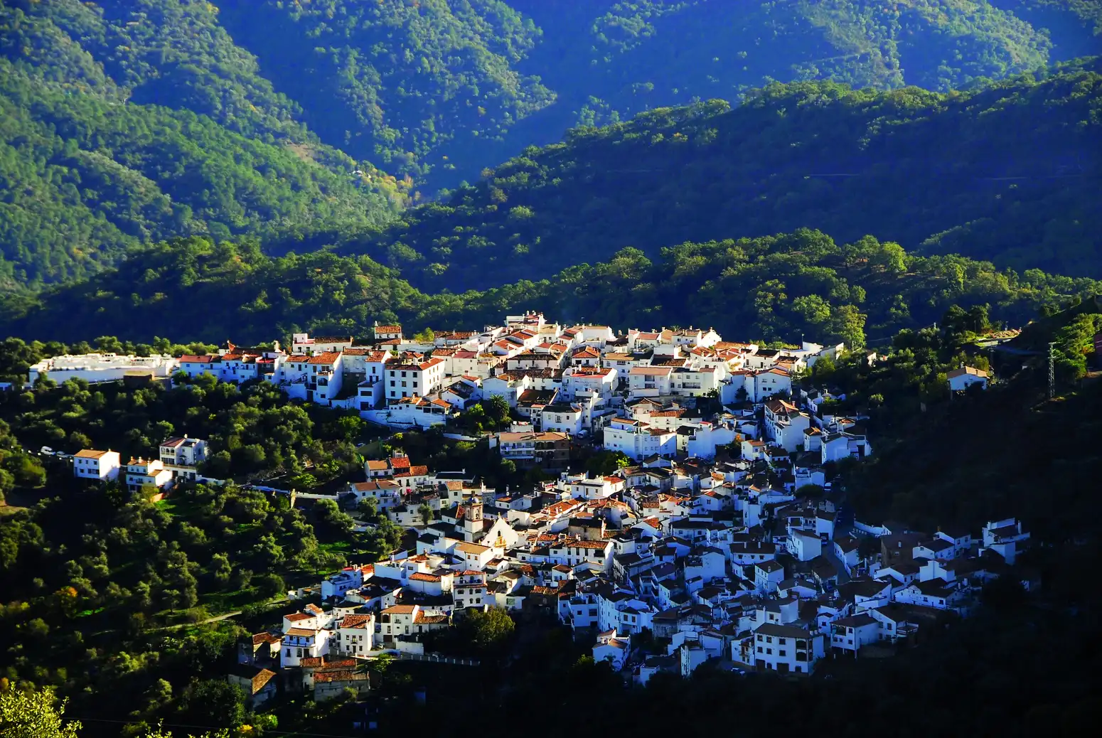 Vista de Benarrabá: sus casas blancas encaramadas en la ladera, rodeadas por el bosque de la Serranía de Ronda.